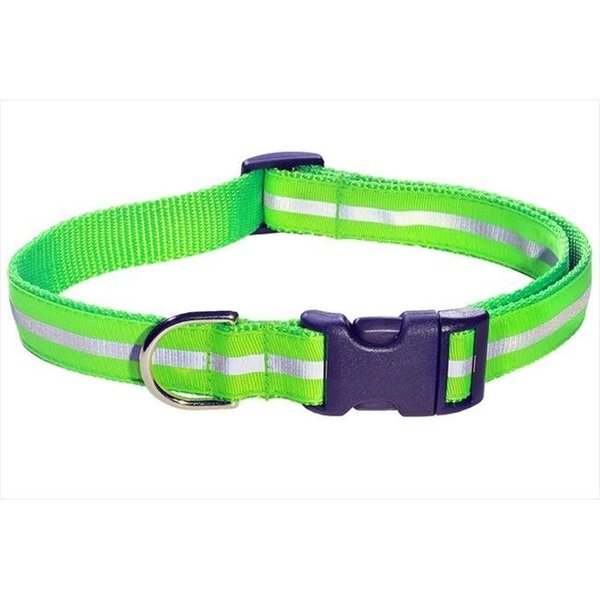 Sassy Dog Wear Sassy Dog Wear REFLECTIVE - GREEN1-C Reflective Dog Collar; Green - Small REFLECTIVE - GREEN1-C